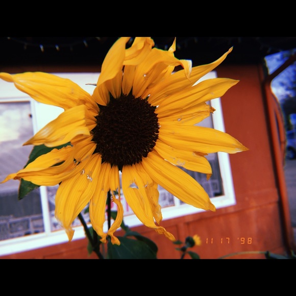vetty_1020